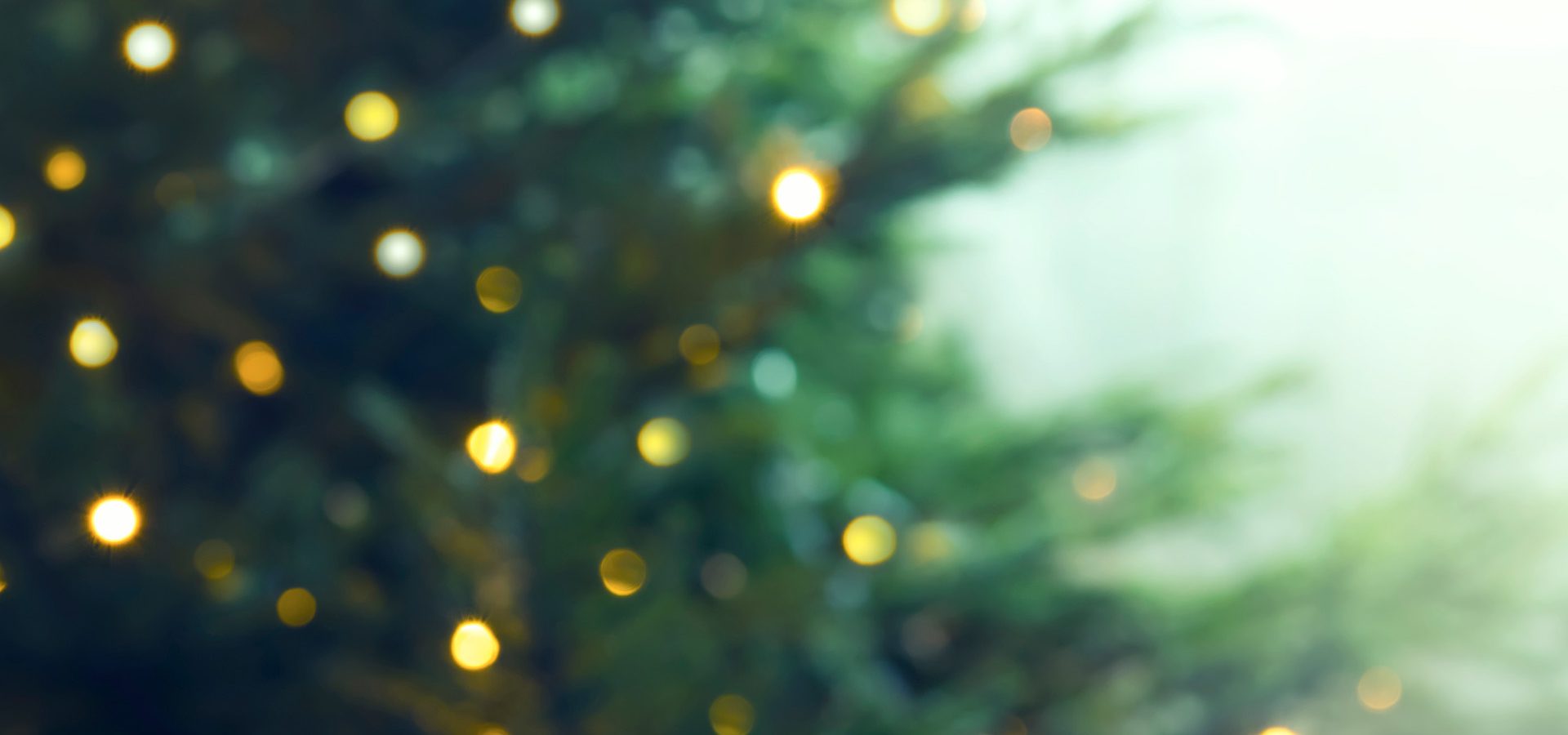 dalby_juletraestaending_1920x1080